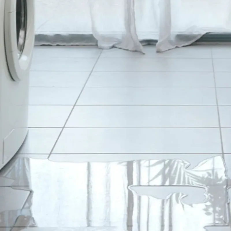 Appliance Leak Cleanup in Springdale, SC