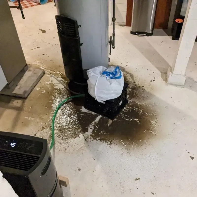 Sewage Backup Cleanup Service in Springdale, SC